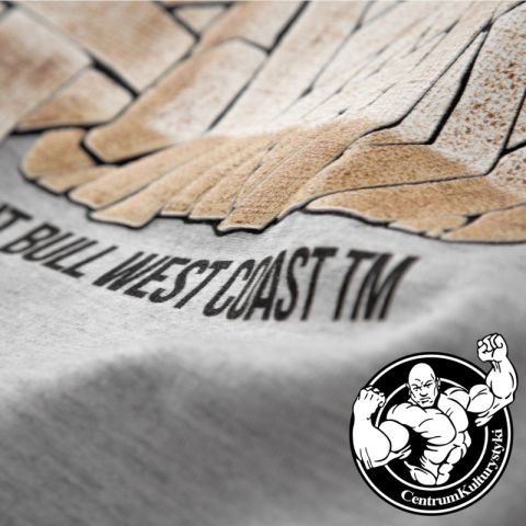 Koszulka Męska MUMMY Grey Melange - Pit Bull West Coast